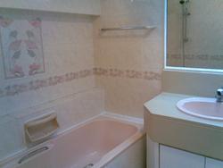 Tanglin Park (D10), Condominium #63290902